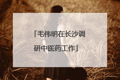 毛伟明在长沙调研中医药工作