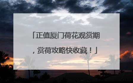 正值厦门荷花观赏期，赏荷攻略快收藏！