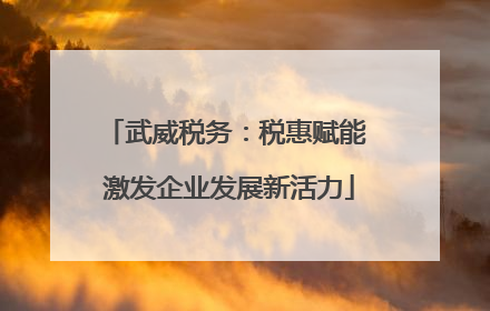 武威税务：税惠赋能 激发企业发展新活力