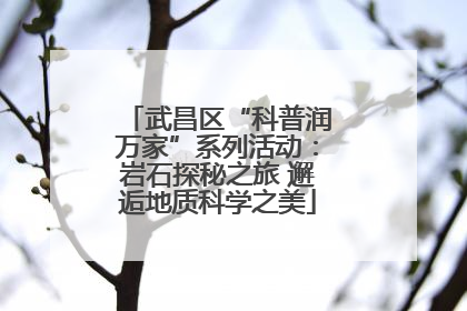 武昌区“科普润万家”系列活动：岩石探秘之旅 邂逅地质科学之美