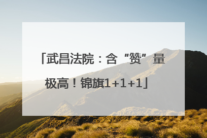 武昌法院：含“赞”量极高！锦旗1+1+1