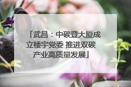 武昌：中碳登大厦成立楼宇党委 推进双碳产业高质量发展