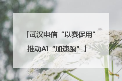 武汉电信“以赛促用”推动AI“加速跑”