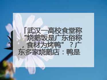 武汉一高校食堂称“烧鹅饭是广东俗称，食材为烤鸭”？广东多家烧鹅店：鸭是鸭鹅是鹅
