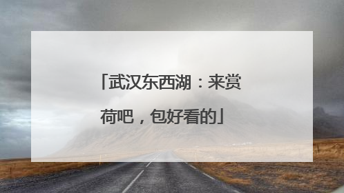 武汉东西湖：来赏荷吧，包好看的