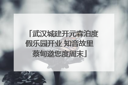 武汉城建开元森泊度假乐园开业 知音故里蔡甸邀您度周末