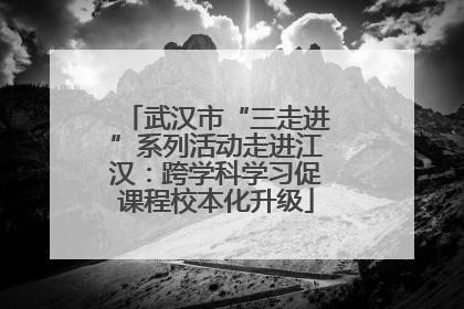 武汉市“三走进”系列活动走进江汉：跨学科学习促课程校本化升级