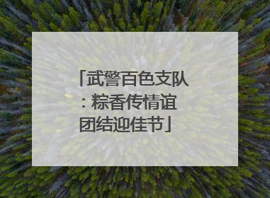 武警百色支队：粽香传情谊 团结迎佳节