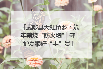 武陟县大虹桥乡：筑牢禁烧“防火墙” 守护夏粮好“丰”景
