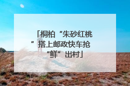 桐柏“朱砂红桃”搭上邮政快车抢“鲜”出村