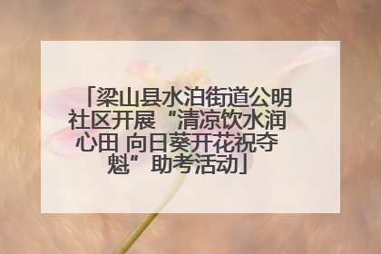 梁山县水泊街道公明社区开展“清凉饮水润心田 向日葵开花祝夺魁”助考活动