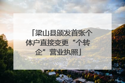 梁山县颁发首张个体户直接变更“个转企”营业执照