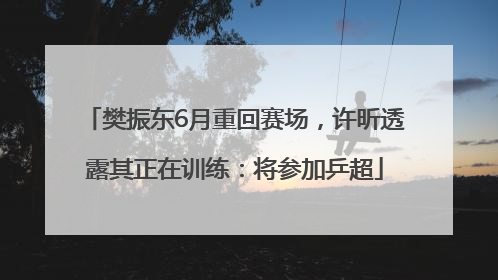 樊振东6月重回赛场，许昕透露其正在训练：将参加乒超