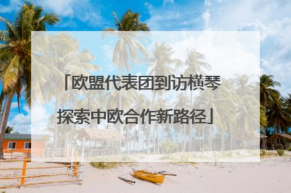 欧盟代表团到访横琴 探索中欧合作新路径
