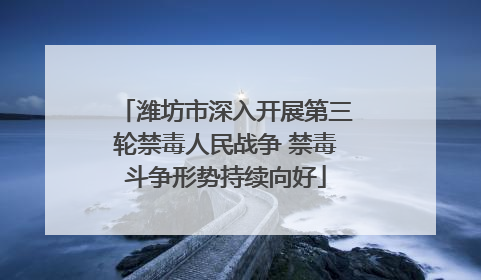 潍坊市深入开展第三轮禁毒人民战争 禁毒斗争形势持续向好