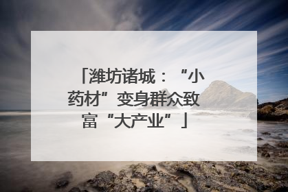 潍坊诸城：“小药材”变身群众致富“大产业”