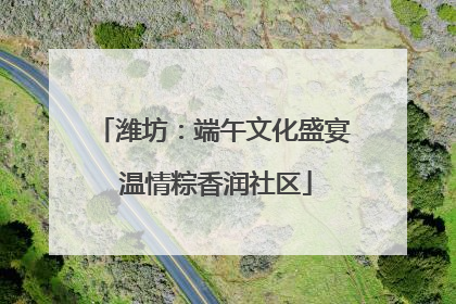 潍坊：端午文化盛宴 温情粽香润社区