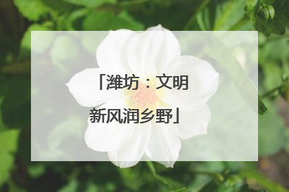 潍坊：文明新风润乡野