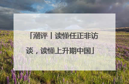潮评丨读懂任正非访谈，读懂上升期中国