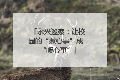 永兴巡察：让校园的“揪心事”成“暖心事”
