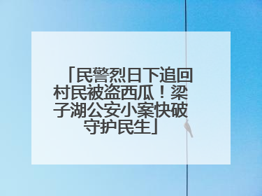 民警烈日下追回村民被盗西瓜！梁子湖公安小案快破守护民生