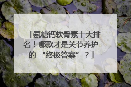 氨糖钙软骨素十大排名！哪款才是关节养护的 “终极答案”？