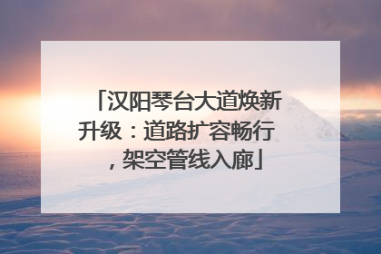 汉阳琴台大道焕新升级：道路扩容畅行，架空管线入廊