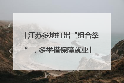 江苏多地打出“组合拳”，多举措保障就业