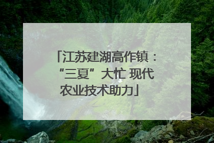 江苏建湖高作镇：“三夏”大忙 现代农业技术助力