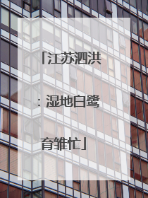 江苏泗洪：湿地白鹭育雏忙