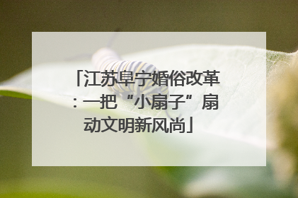江苏阜宁婚俗改革：一把“小扇子”扇动文明新风尚