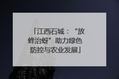 江西石城：“放蜂治蚜”助力绿色防控与农业发展