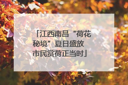 江西南昌“荷花秘境”夏日盛放 市民赏荷正当时