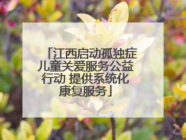 江西启动孤独症儿童关爱服务公益行动 提供系统化康复服务