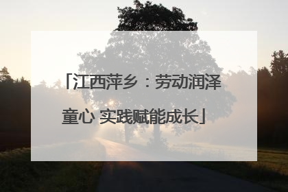 江西萍乡：劳动润泽童心 实践赋能成长