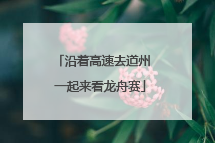 沿着高速去道州 一起来看龙舟赛