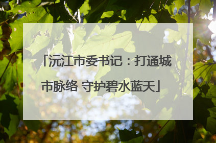 沅江市委书记：打通城市脉络 守护碧水蓝天