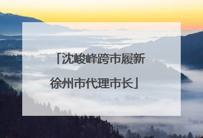沈峻峰跨市履新徐州市代理市长
