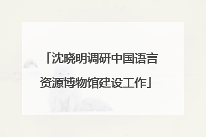 沈晓明调研中国语言资源博物馆建设工作
