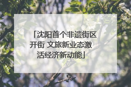 沈阳首个非遗街区开街 文旅新业态激活经济新动能