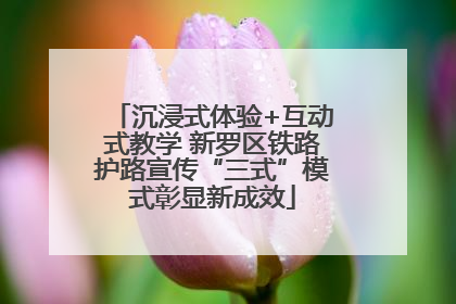 沉浸式体验+互动式教学 新罗区铁路护路宣传“三式”模式彰显新成效