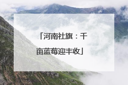 河南社旗：千亩蓝莓迎丰收