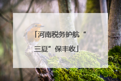 河南税务护航“三夏”保丰收