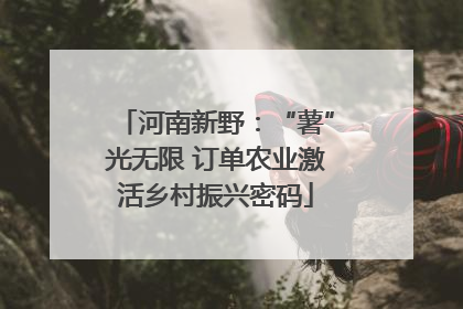 河南新野：“薯”光无限 订单农业激活乡村振兴密码