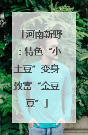 河南新野：特色“小土豆”变身致富“金豆豆”