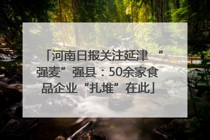 河南日报关注延津 “强麦”强县：50余家食品企业“扎堆”在此