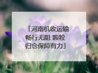河南机收运输畅行无阻 颗粒归仓保障有力