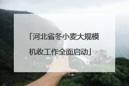 河北省冬小麦大规模机收工作全面启动
