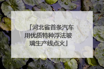 河北省首条汽车用优质特种浮法玻璃生产线点火