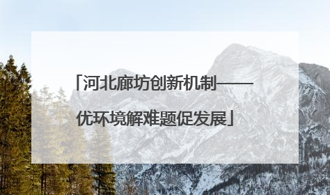 河北廊坊创新机制——优环境解难题促发展